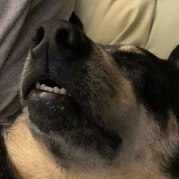 Meet your Posher, M - Picture 1 of 1